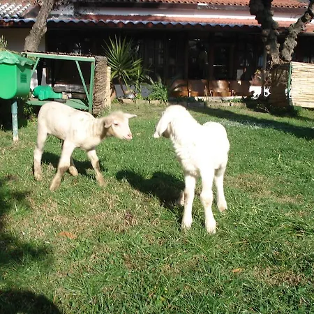 Vakantieboerderij La Vecchia